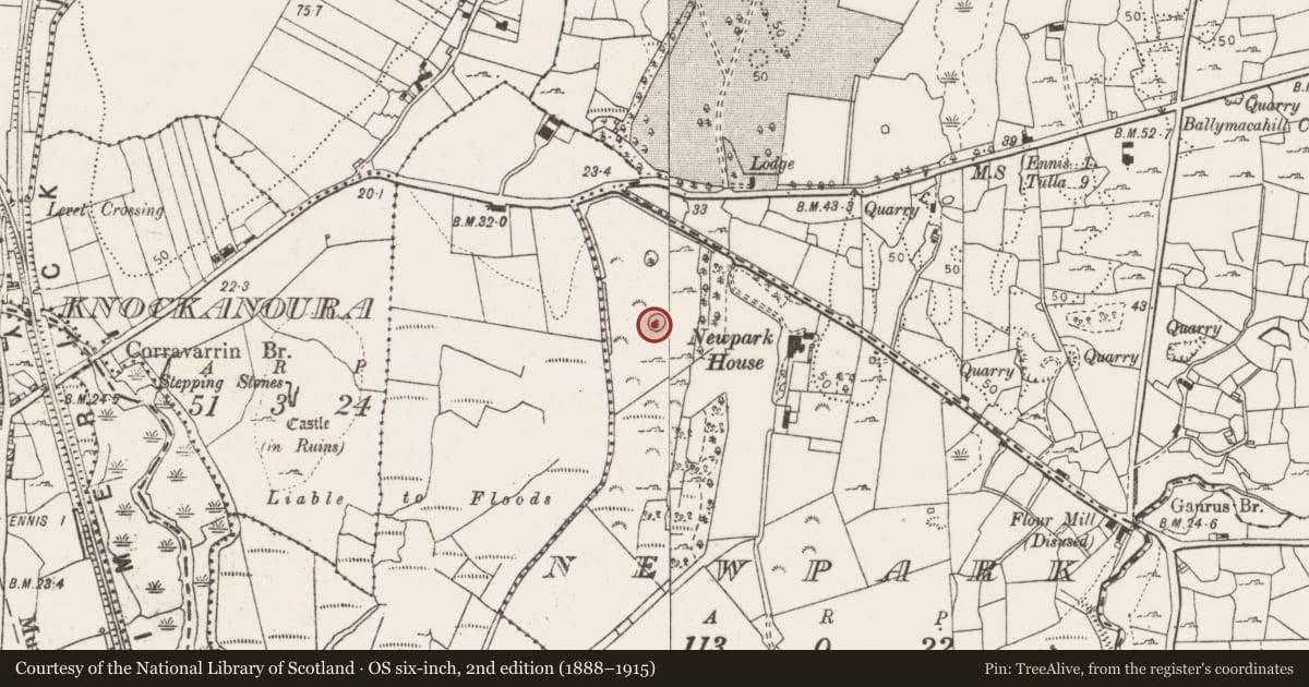 Ordnance Survey six-inch map, 2nd edition (1888–1915) covering the location of Designed landscape feature, Newpark, County Clare, with a pin at the register's coordinates