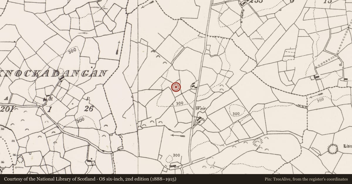 Ordnance Survey six-inch map, 2nd edition (1888–1915) covering the location of Ringfort - rath, Gortaganniv, County Clare, with a pin at the register's coordinates