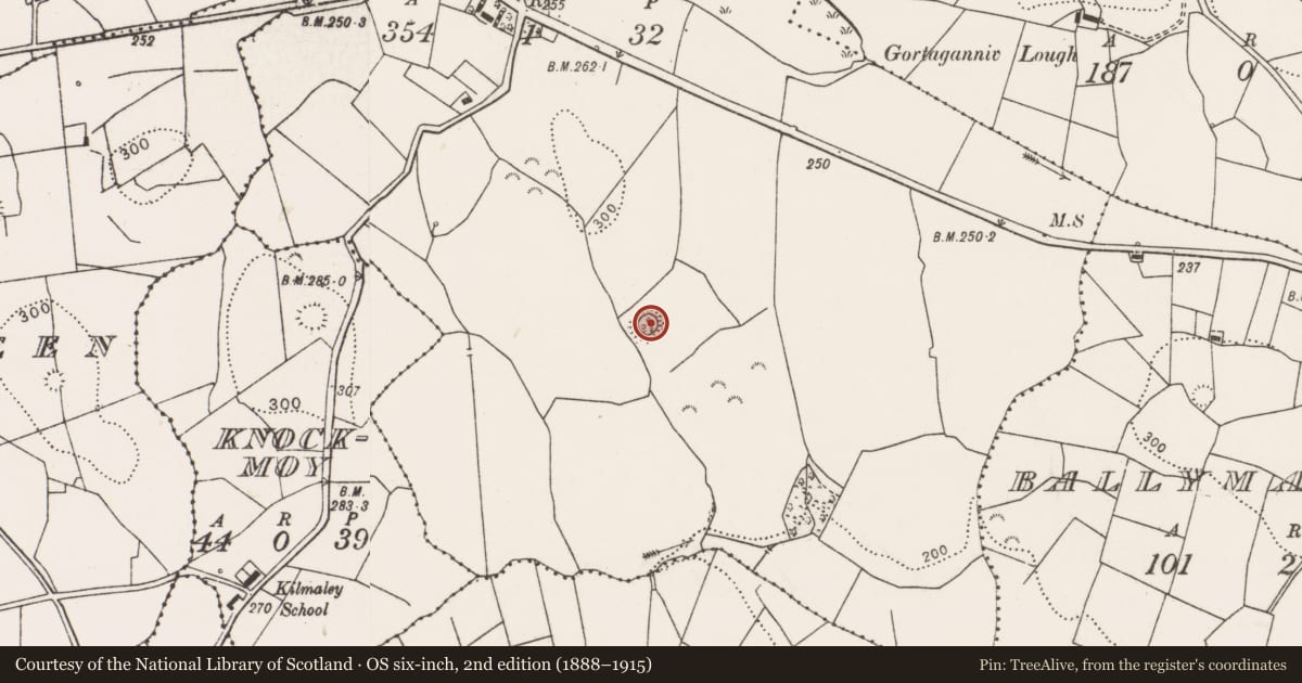 Ordnance Survey six-inch map, 2nd edition (1888–1915) covering the location of Ringfort - rath, Gortaganniv, County Clare, with a pin at the register's coordinates