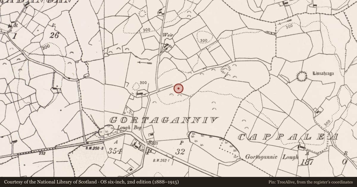 Ordnance Survey six-inch map, 2nd edition (1888–1915) covering the location of Ringfort - rath, Gortaganniv, County Clare, with a pin at the register's coordinates