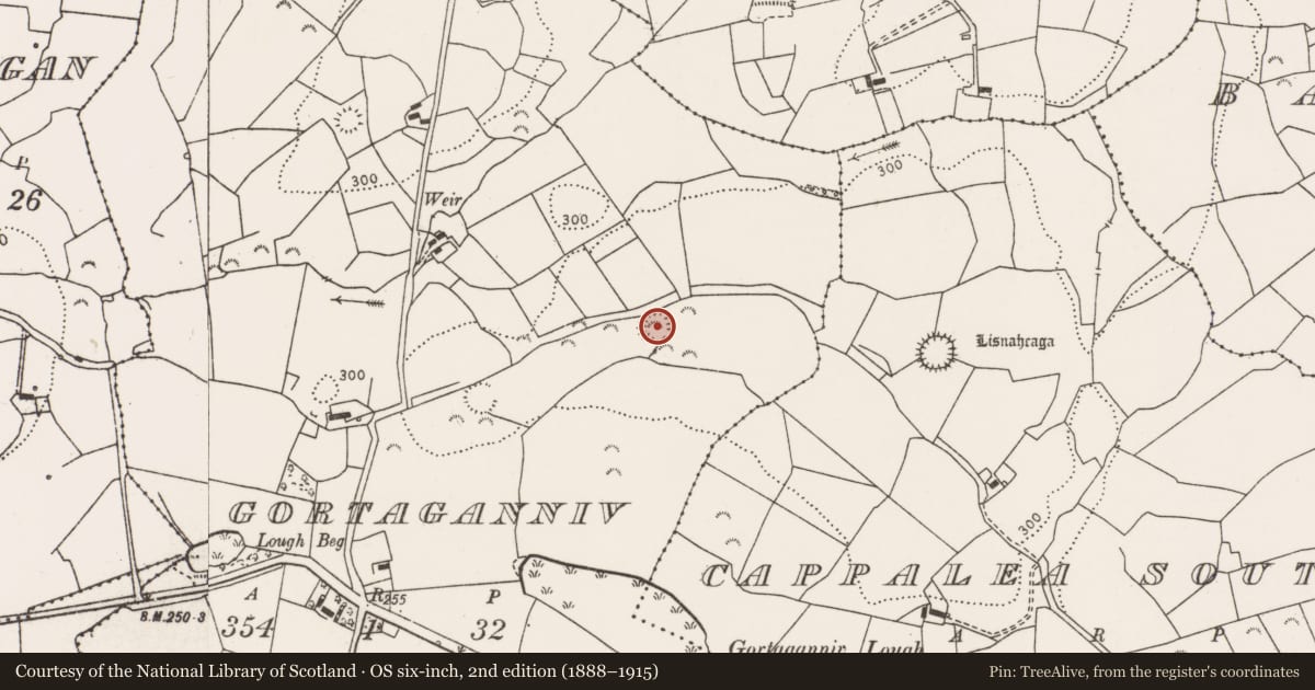 Ordnance Survey six-inch map, 2nd edition (1888–1915) covering the location of Ringfort - rath, Gortaganniv, County Clare, with a pin at the register's coordinates