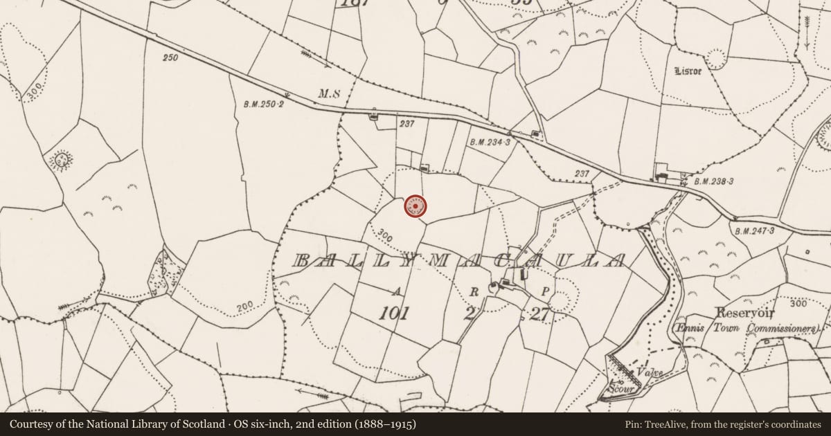 Ordnance Survey six-inch map, 2nd edition (1888–1915) covering the location of Ringfort - rath, Ballymacaula, County Clare, with a pin at the register's coordinates