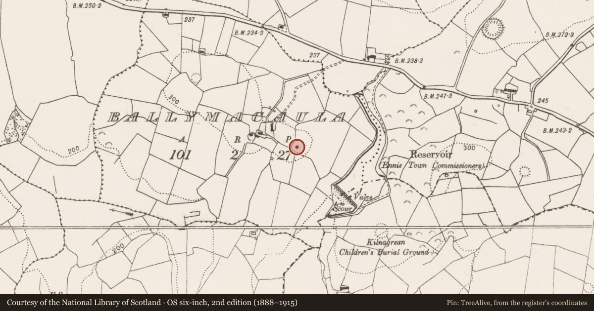 Ordnance Survey six-inch map, 2nd edition (1888–1915) covering the location of Ringfort - rath, Ballymacaula, County Clare, with a pin at the register's coordinates