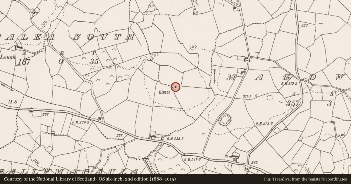 Ordnance Survey six-inch map, 2nd edition (1888–1915) covering the location of Ringfort - rath, Ballyvoe, County Clare, with a pin at the register's coordinates