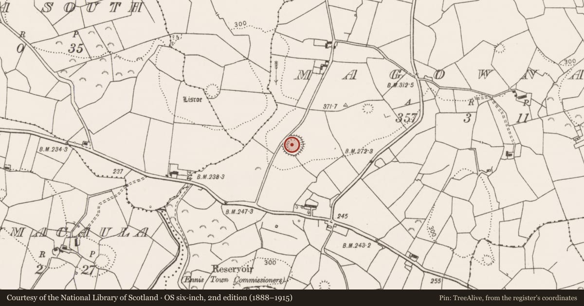 Ordnance Survey six-inch map, 2nd edition (1888–1915) covering the location of Ringfort - rath, Magowna, County Clare, with a pin at the register's coordinates