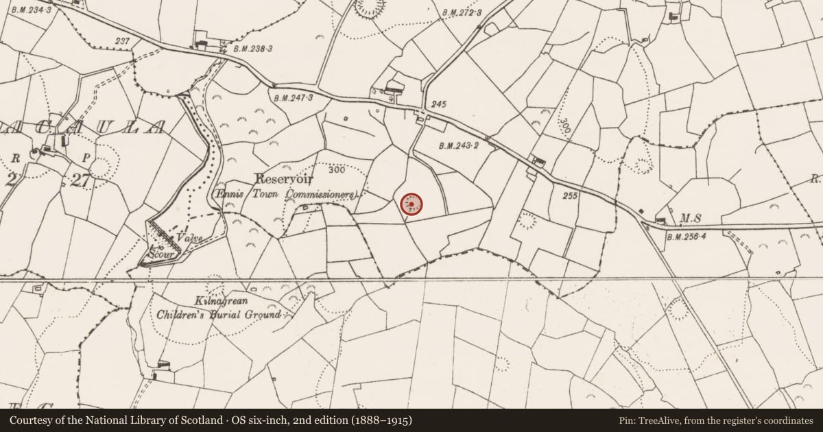 Ordnance Survey six-inch map, 2nd edition (1888–1915) covering the location of Ringfort - rath, Magowna, County Clare, with a pin at the register's coordinates