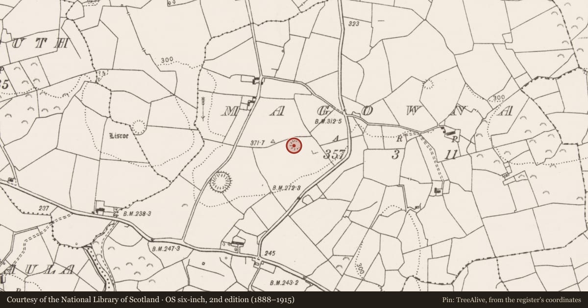 Ordnance Survey six-inch map, 2nd edition (1888–1915) covering the location of Ringfort - rath, Magowna, County Clare, with a pin at the register's coordinates