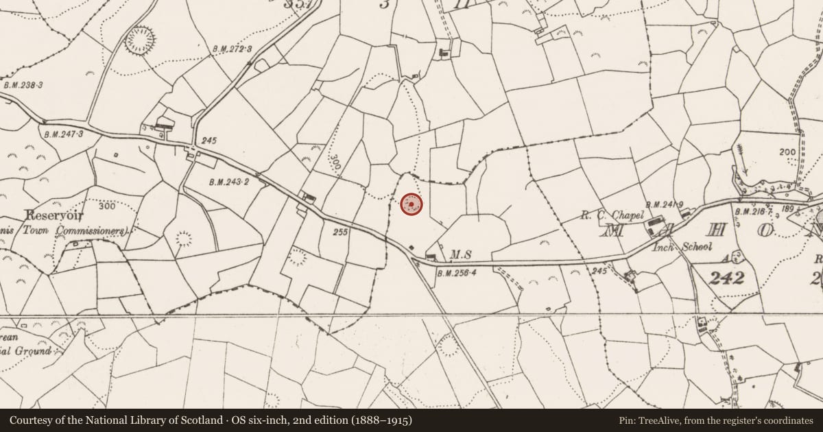Ordnance Survey six-inch map, 2nd edition (1888–1915) covering the location of Ringfort - rath, Knock, County Clare, with a pin at the register's coordinates