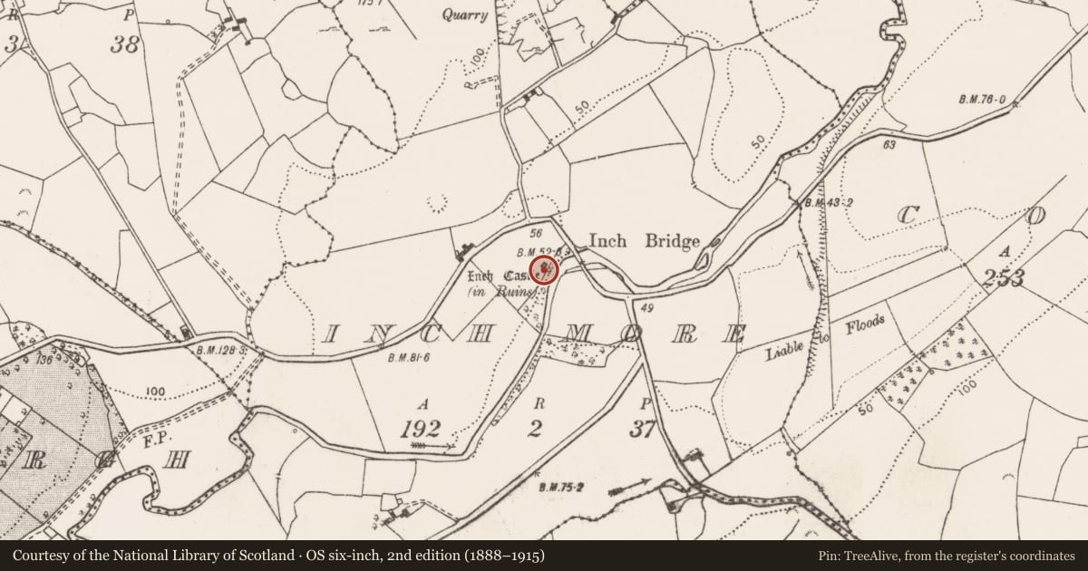 Ordnance Survey six-inch map, 2nd edition (1888–1915) covering the location of Castle - tower house, Inch More, County Clare, with a pin at the register's coordinates