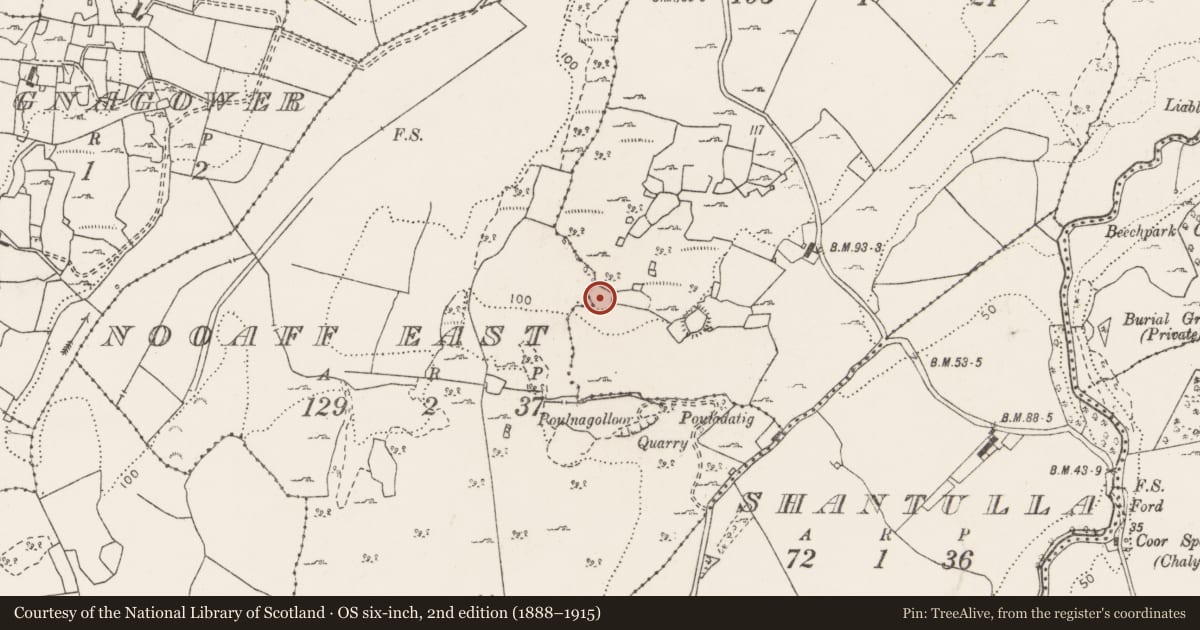 Ordnance Survey six-inch map, 2nd edition (1888–1915) covering the location of Earthwork, Ballylannidy, County Clare, with a pin at the register's coordinates