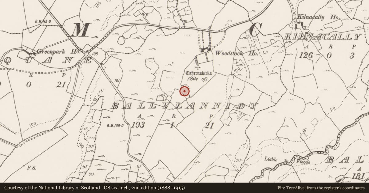 Ordnance Survey six-inch map, 2nd edition (1888–1915) covering the location of Ringfort - cashel, Ballylannidy, County Clare, with a pin at the register's coordinates
