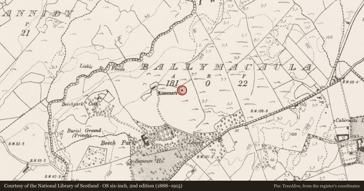 Ordnance Survey six-inch map, 2nd edition (1888–1915) covering the location of Ringfort - cashel, Ballymacaula, County Clare, with a pin at the register's coordinates