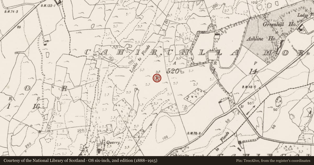 Ordnance Survey six-inch map, 2nd edition (1888–1915) covering the location of Ringfort - cashel, Cahircalla More, County Clare, with a pin at the register's coordinates