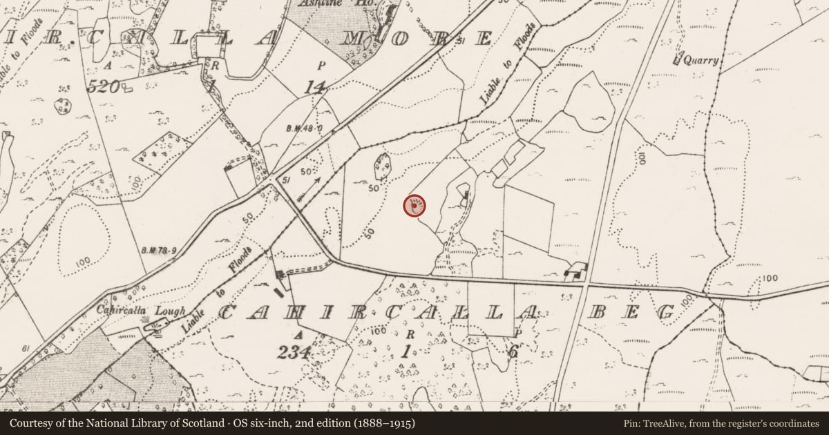 Ordnance Survey six-inch map, 2nd edition (1888–1915) covering the location of Ringfort - rath, Cahircalla Beg, County Clare, with a pin at the register's coordinates