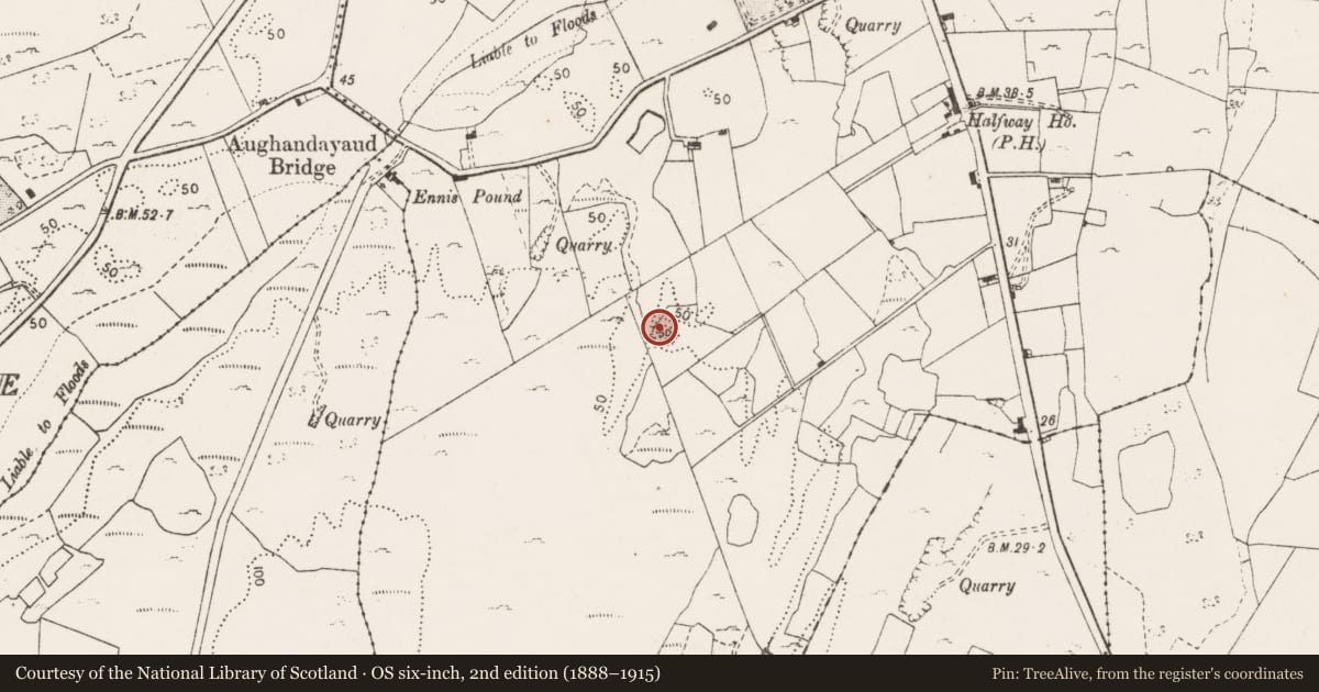 Ordnance Survey six-inch map, 2nd edition (1888–1915) covering the location of Earthwork, Clonroad More, County Clare, with a pin at the register's coordinates