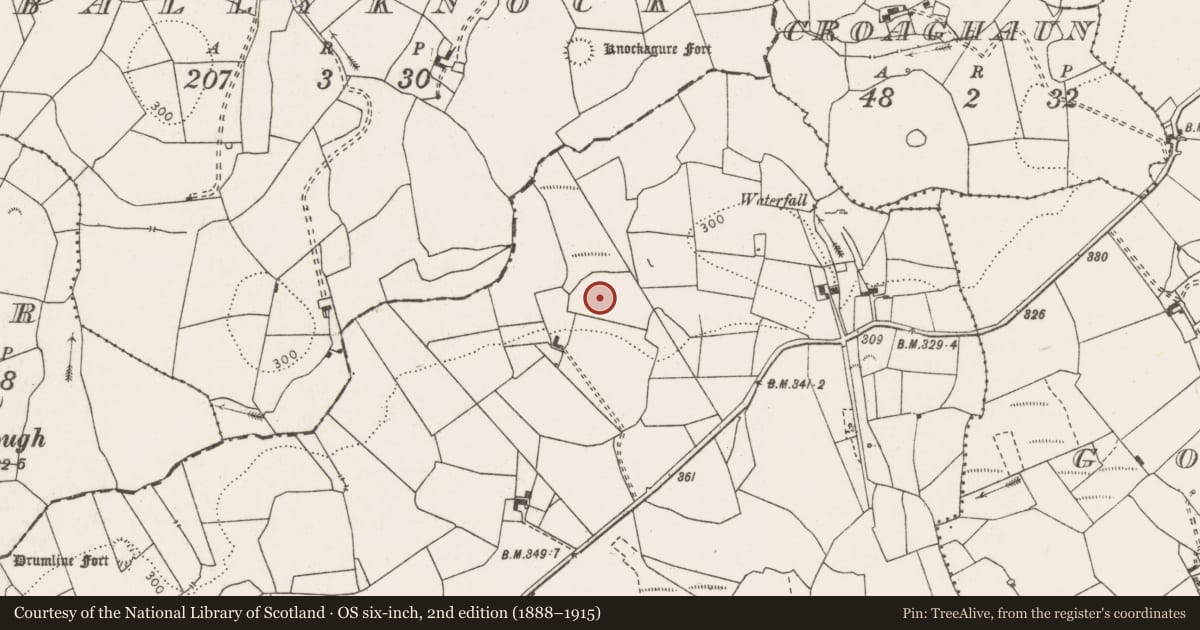 Ordnance Survey six-inch map, 2nd edition (1888–1915) covering the location of Ringfort - rath, Tullassa, County Clare, with a pin at the register's coordinates
