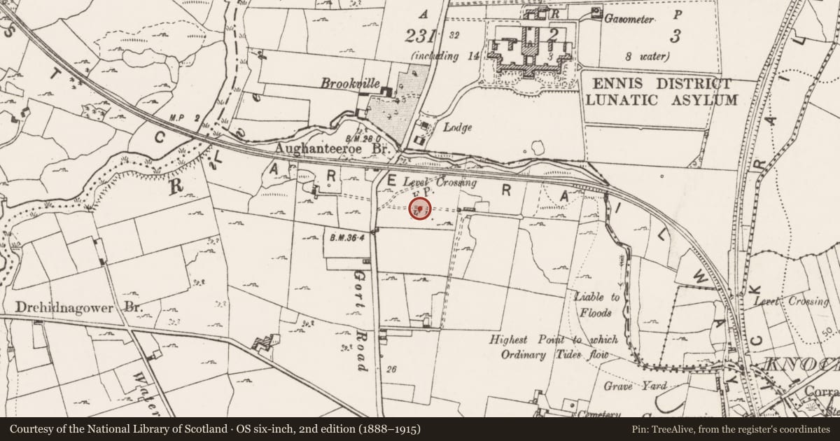 Ordnance Survey six-inch map, 2nd edition (1888–1915) covering the location of Fulacht fia, Lifford, County Clare, with a pin at the register's coordinates