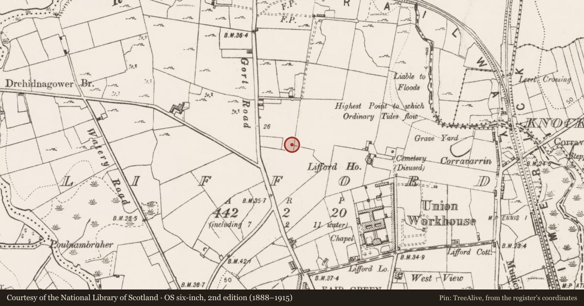 Ordnance Survey six-inch map, 2nd edition (1888–1915) covering the location of Souterrain, Lifford, County Clare, with a pin at the register's coordinates