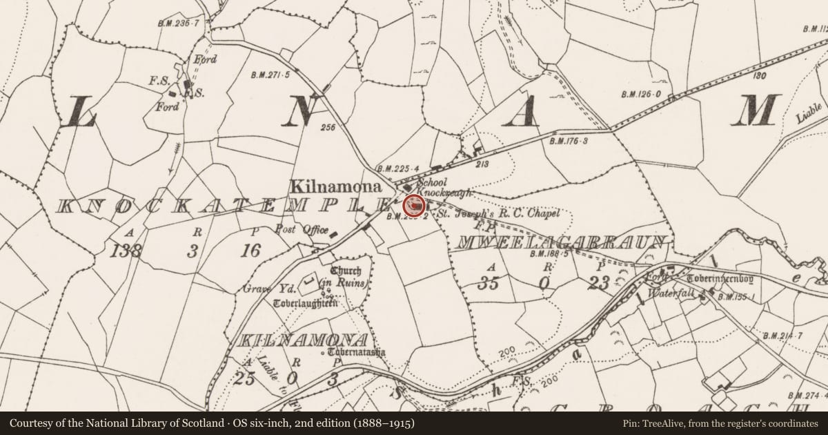 Ordnance Survey six-inch map, 2nd edition (1888–1915) covering the location of Font (present location), Ballynabinnia, County Clare, with a pin at the register's coordinates