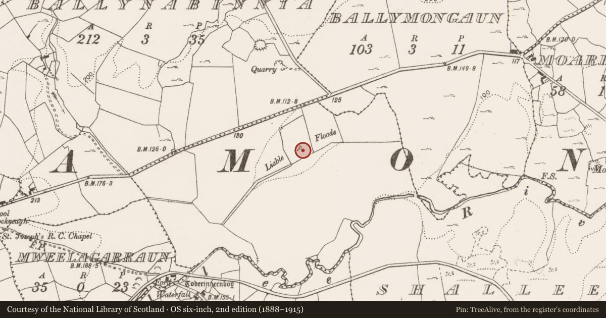 Ordnance Survey six-inch map, 2nd edition (1888–1915) covering the location of Fulacht fia, Shallee, County Clare, with a pin at the register's coordinates