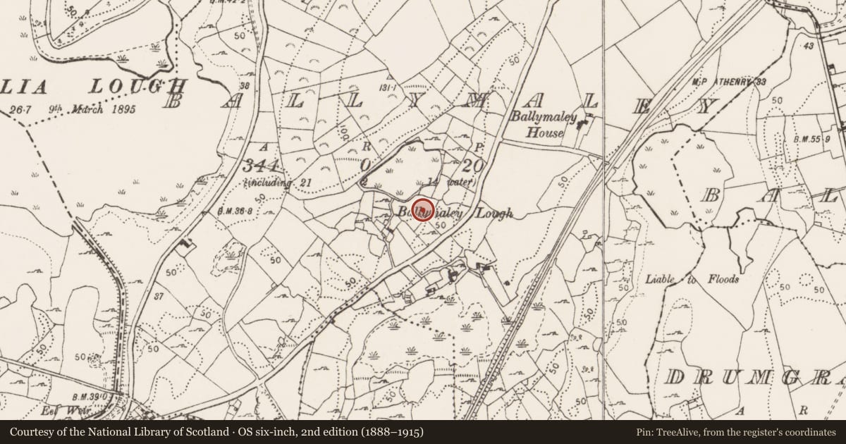 Ordnance Survey six-inch map, 2nd edition (1888–1915) covering the location of Fulacht fia, Ballymaley, County Clare, with a pin at the register's coordinates