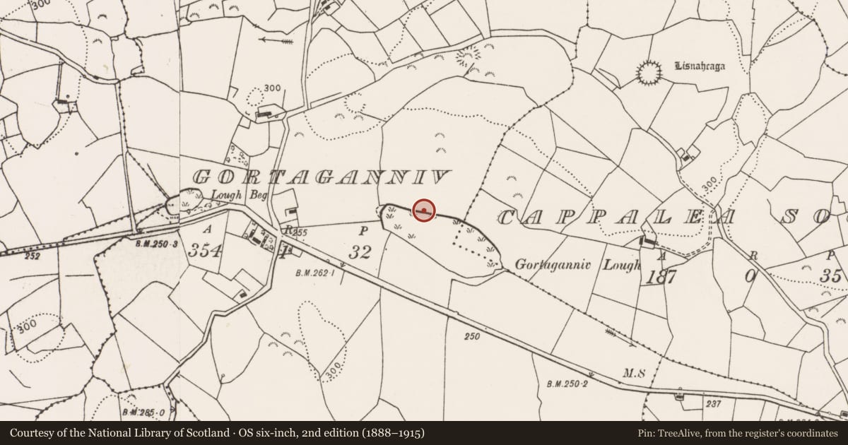 Ordnance Survey six-inch map, 2nd edition (1888–1915) covering the location of Fulacht fia, Gortaganniv, County Clare, with a pin at the register's coordinates