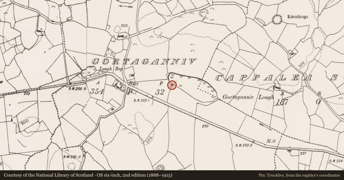Ordnance Survey six-inch map, 2nd edition (1888–1915) covering the location of Fulacht fia, Gortaganniv, County Clare, with a pin at the register's coordinates