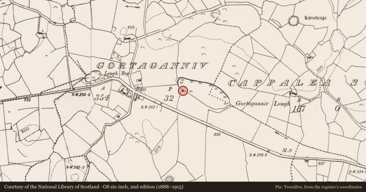 Ordnance Survey six-inch map, 2nd edition (1888–1915) covering the location of Fulacht fia, Gortaganniv, County Clare, with a pin at the register's coordinates