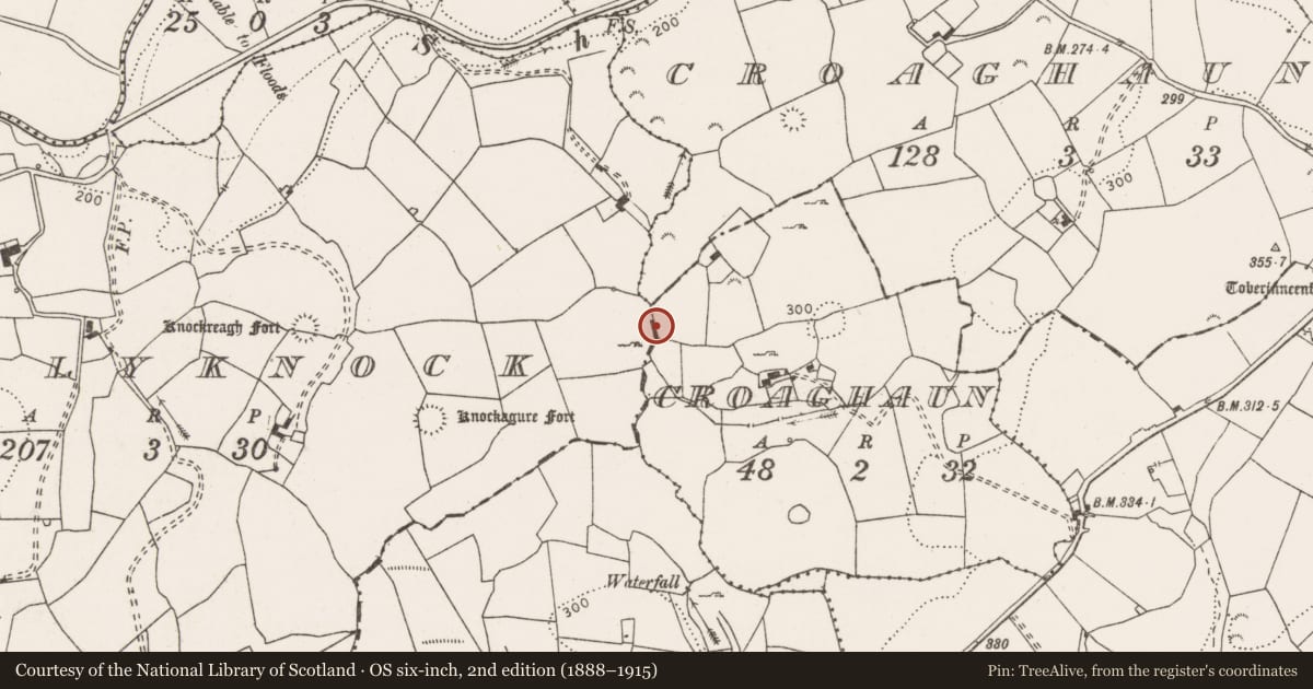 Ordnance Survey six-inch map, 2nd edition (1888–1915) covering the location of Fulacht fia, Croaghaun, County Clare, with a pin at the register's coordinates