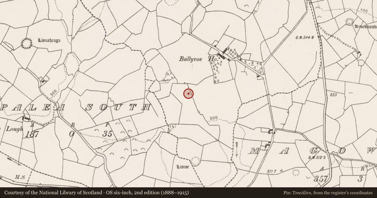 Ordnance Survey six-inch map, 2nd edition (1888–1915) covering the location of Fulacht fia, Ballyvoe, County Clare, with a pin at the register's coordinates