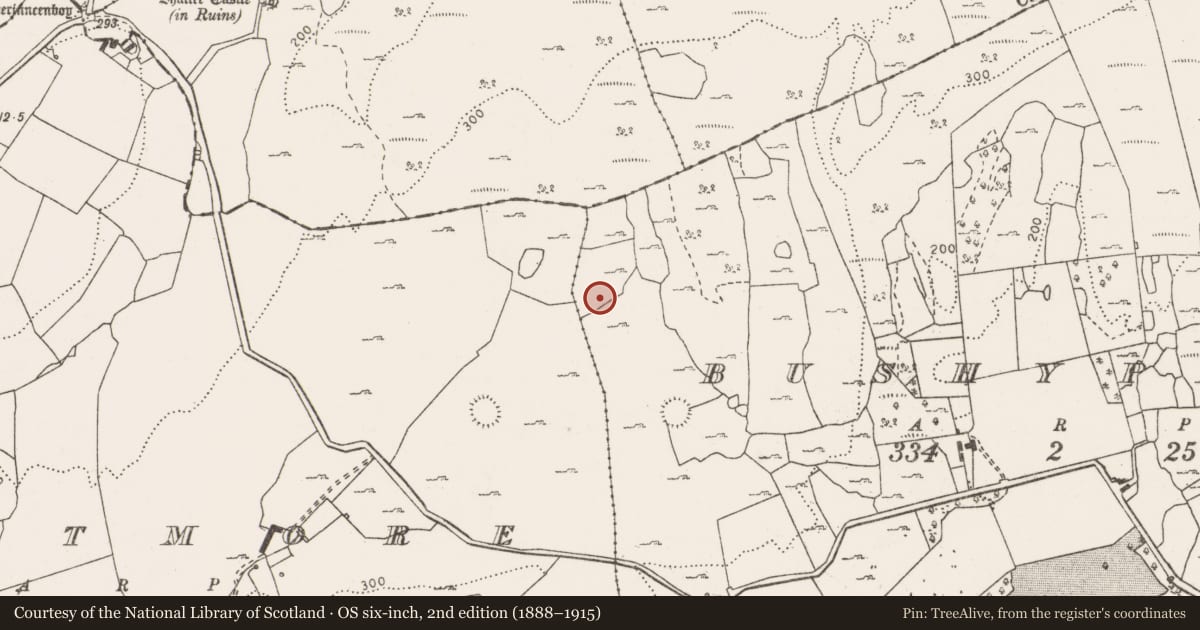 Ordnance Survey six-inch map, 2nd edition (1888–1915) covering the location of Cairn - unclassified, Bushypark, County Clare, with a pin at the register's coordinates