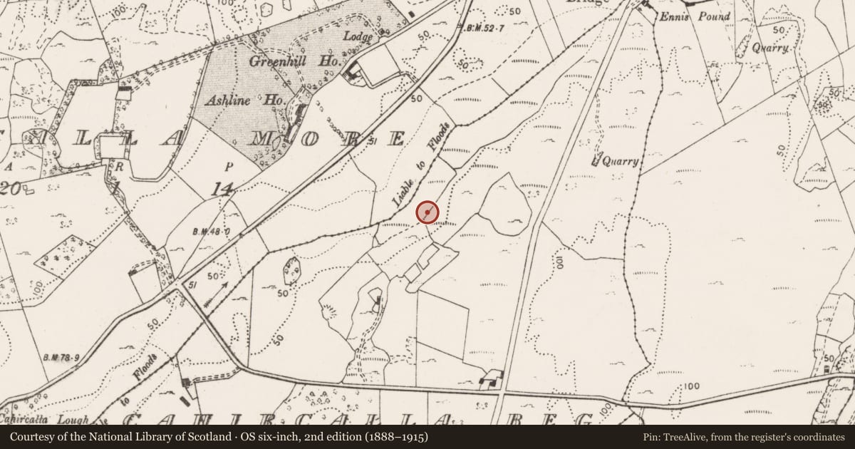 Ordnance Survey six-inch map, 2nd edition (1888–1915) covering the location of Fulacht fia, Cahircalla Beg, County Clare, with a pin at the register's coordinates
