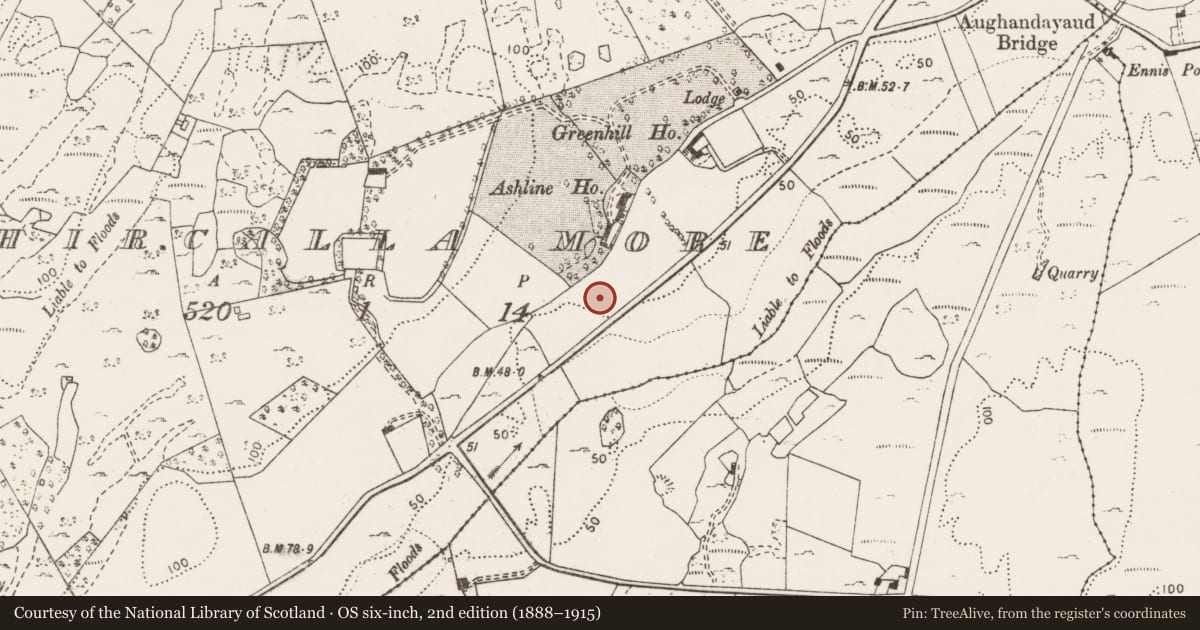 Ordnance Survey six-inch map, 2nd edition (1888–1915) covering the location of Enclosure, Cahircalla More, County Clare, with a pin at the register's coordinates