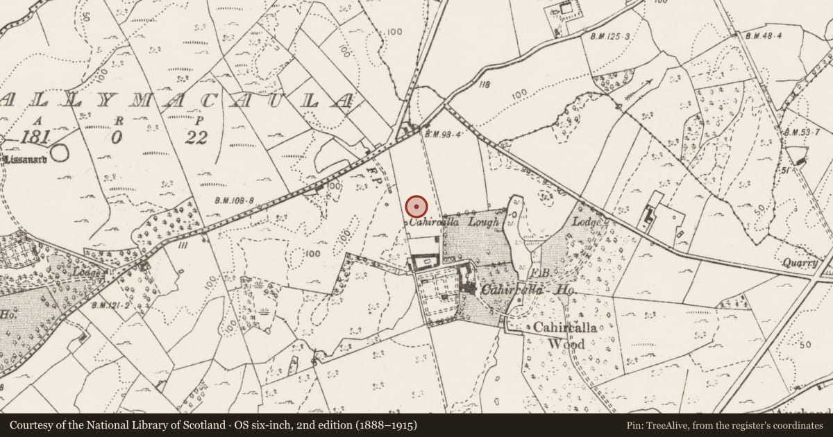 Ordnance Survey six-inch map, 2nd edition (1888–1915) covering the location of Ringfort - rath, Cahircalla More, County Clare, with a pin at the register's coordinates