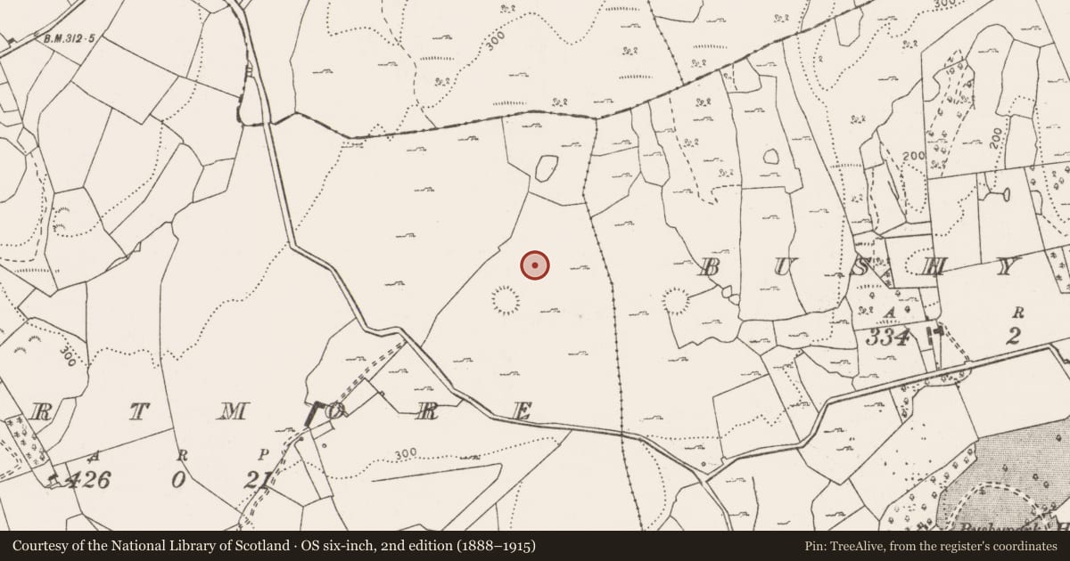 Ordnance Survey six-inch map, 2nd edition (1888–1915) covering the location of Enclosure, Gortmore, County Clare, with a pin at the register's coordinates