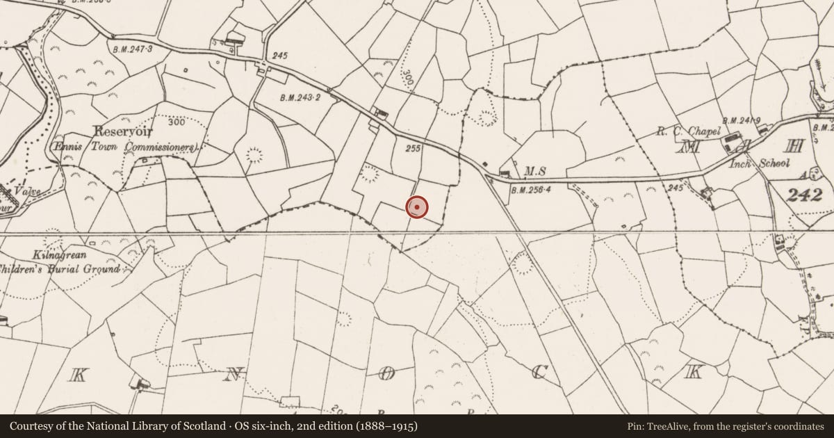 Ordnance Survey six-inch map, 2nd edition (1888–1915) covering the location of Enclosure, Magowna, County Clare, with a pin at the register's coordinates
