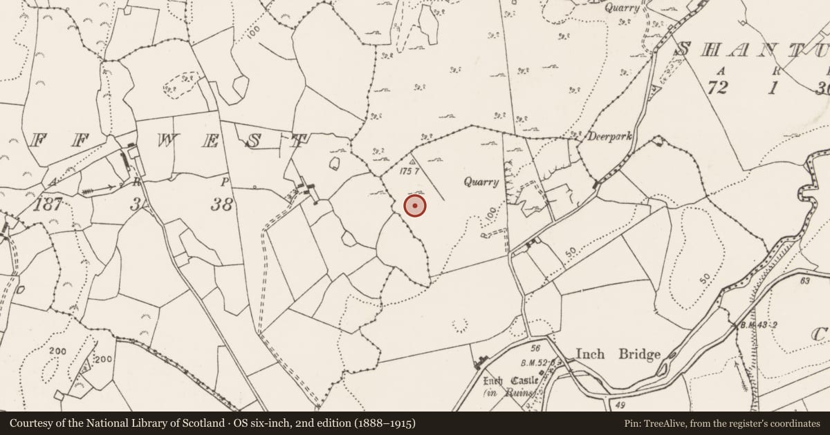 Ordnance Survey six-inch map, 2nd edition (1888–1915) covering the location of Field system, Inch More, County Clare, with a pin at the register's coordinates