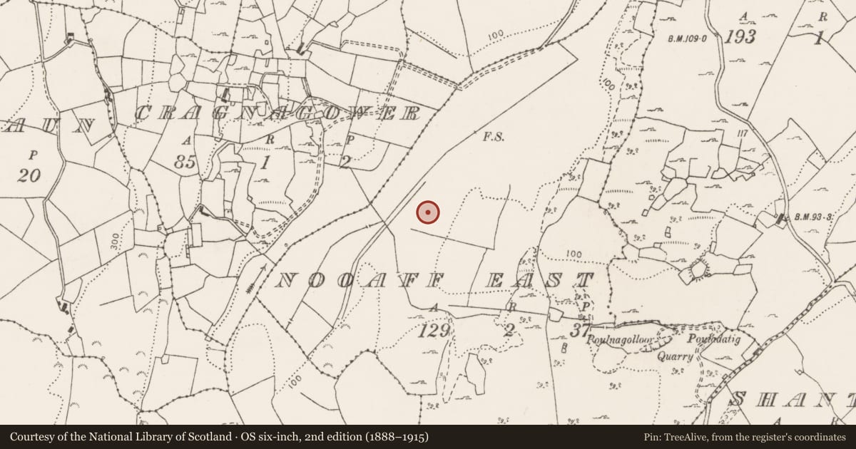 Ordnance Survey six-inch map, 2nd edition (1888–1915) covering the location of Enclosure, Nooaff East, County Clare, with a pin at the register's coordinates