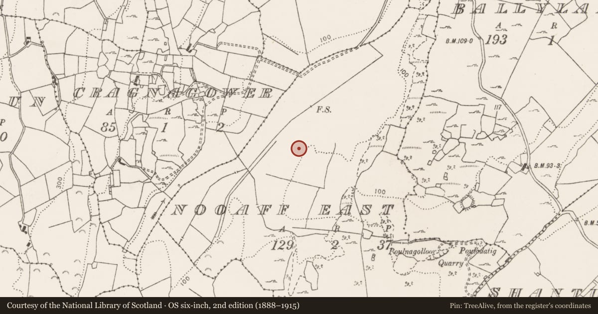 Ordnance Survey six-inch map, 2nd edition (1888–1915) covering the location of Field boundary, Nooaff East, County Clare, with a pin at the register's coordinates