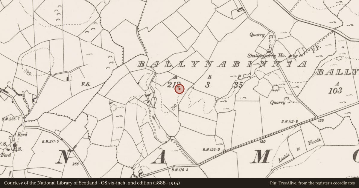 Ordnance Survey six-inch map, 2nd edition (1888–1915) covering the location of Ringfort - rath, Ballynabinnia, County Clare, with a pin at the register's coordinates
