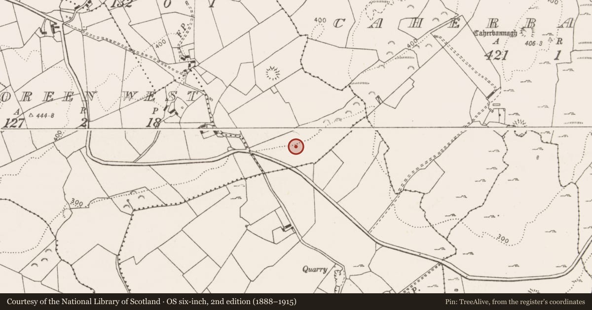 Ordnance Survey six-inch map, 2nd edition (1888–1915) covering the location of Ringfort - rath, Tooreen East, County Clare, with a pin at the register's coordinates