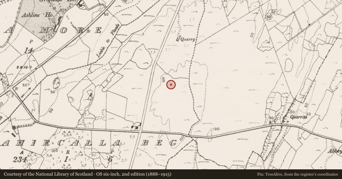 Ordnance Survey six-inch map, 2nd edition (1888–1915) covering the location of Stone sculpture, Cahircalla Beg, County Clare, with a pin at the register's coordinates