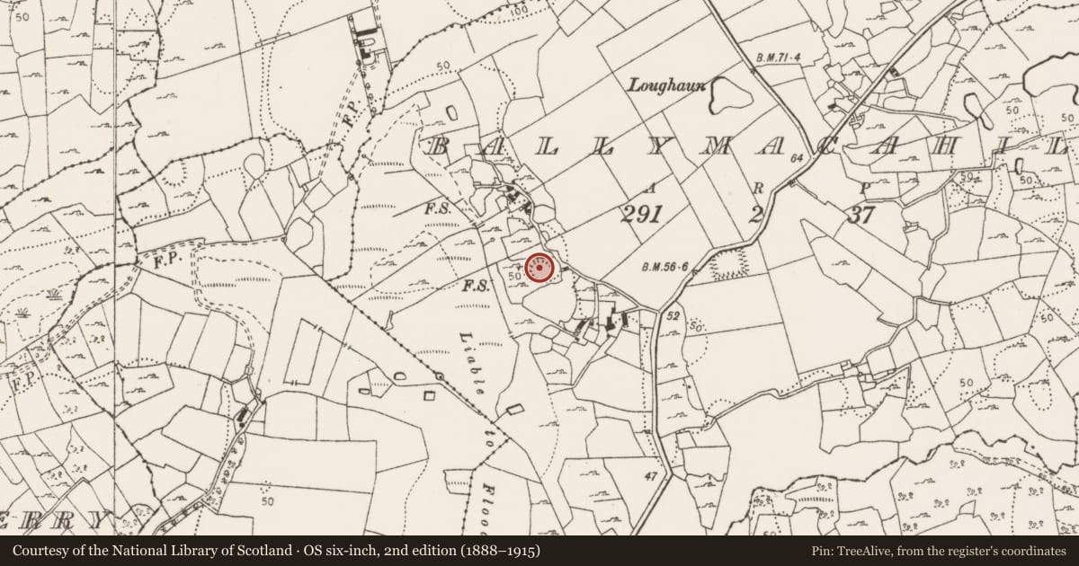 Ordnance Survey six-inch map, 2nd edition (1888–1915) covering the location of Ringfort - cashel, Ballymacahill, County Clare, with a pin at the register's coordinates