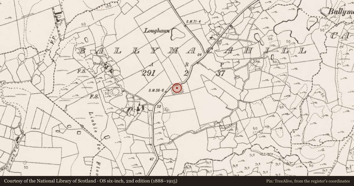 Ordnance Survey six-inch map, 2nd edition (1888–1915) covering the location of Ringfort - rath, Ballymacahill, County Clare, with a pin at the register's coordinates