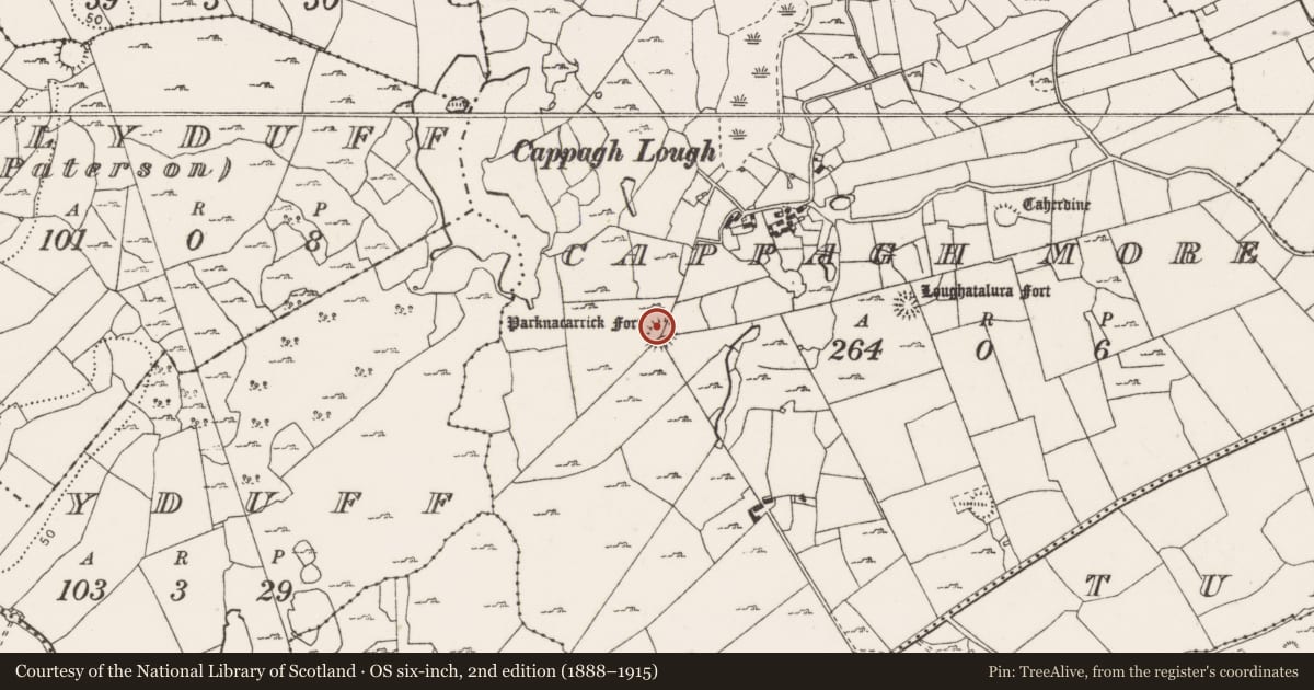 Ordnance Survey six-inch map, 2nd edition (1888–1915) covering the location of Ringfort - cashel, Cappagh More, County Clare, with a pin at the register's coordinates