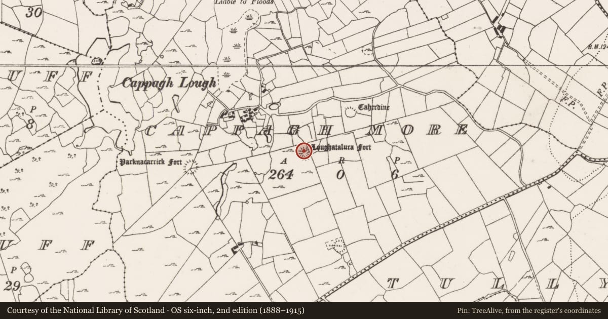 Ordnance Survey six-inch map, 2nd edition (1888–1915) covering the location of Ringfort - cashel, Cappagh More, County Clare, with a pin at the register's coordinates