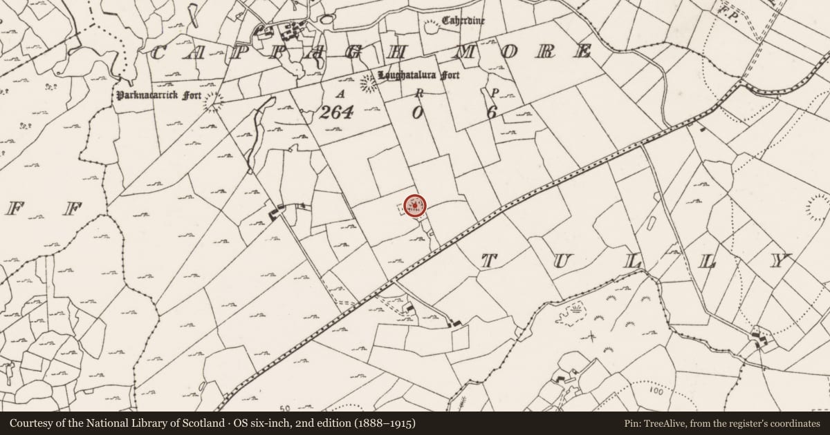 Ordnance Survey six-inch map, 2nd edition (1888–1915) covering the location of Ringfort - cashel, Cappagh More, County Clare, with a pin at the register's coordinates