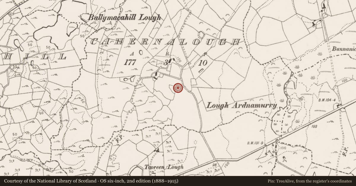Ordnance Survey six-inch map, 2nd edition (1888–1915) covering the location of Ringfort - cashel, Cahernalough, County Clare, with a pin at the register's coordinates