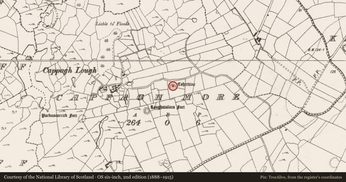 Ordnance Survey six-inch map, 2nd edition (1888–1915) covering the location of Ringfort - cashel, Cappagh More, County Clare, with a pin at the register's coordinates
