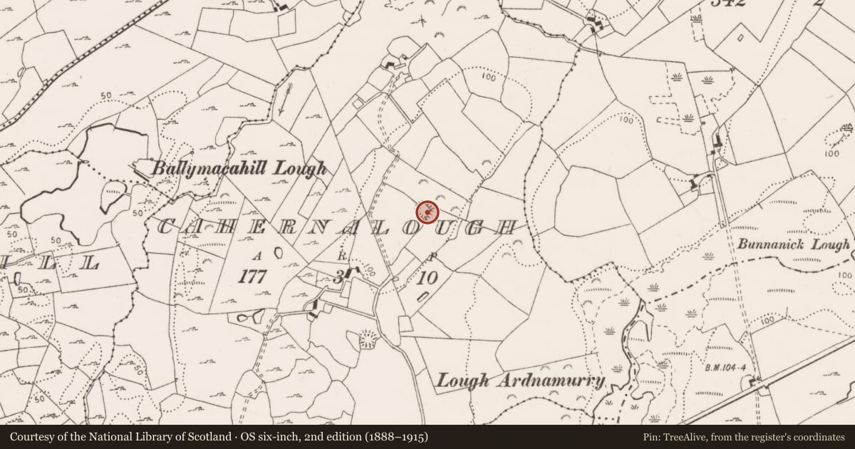 Ordnance Survey six-inch map, 2nd edition (1888–1915) covering the location of Ringfort - cashel, Cahernalough, County Clare, with a pin at the register's coordinates